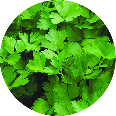 product-parsley